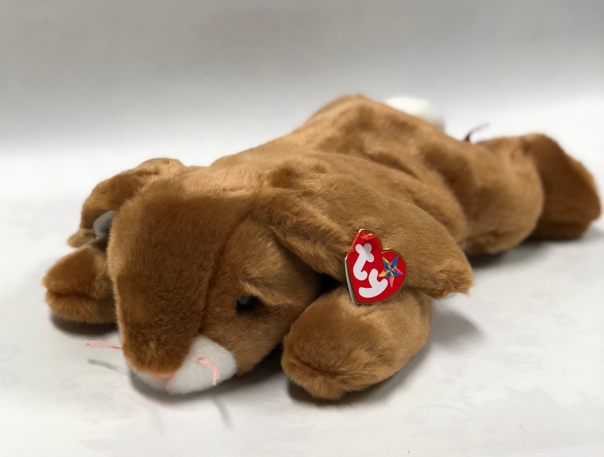 TY- Ears
