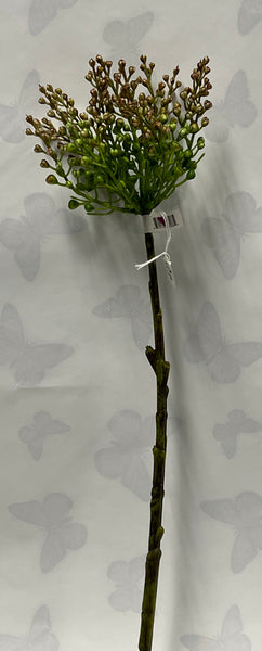 Seed Spray