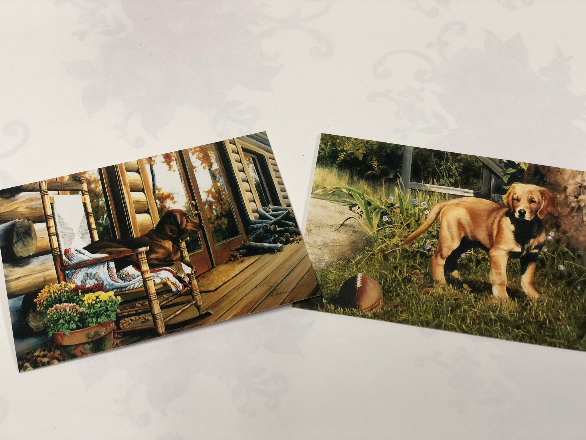 Boxed Note Cards "Back Porch Rocker/ Waiting"