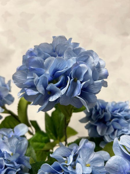 Hydrangea Bush- New Blue
