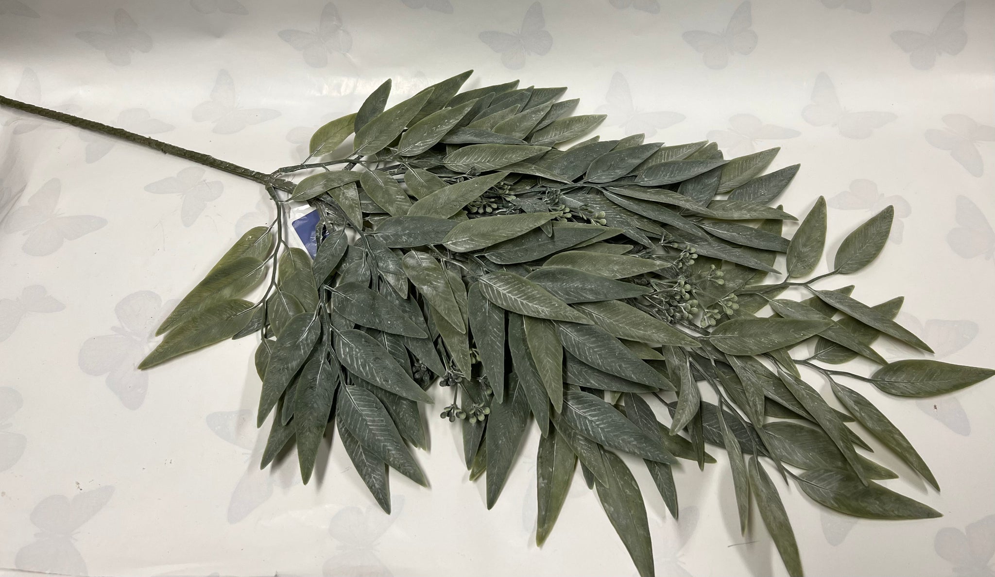 Asian Bayberry Leaf Spray