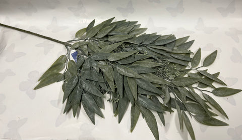 Asian Bayberry Leaf Spray