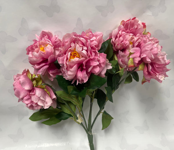 Peony Bush -Dark Pink