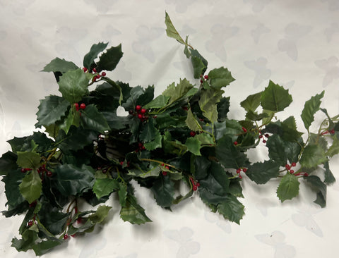 Green Holly Bush With Berries