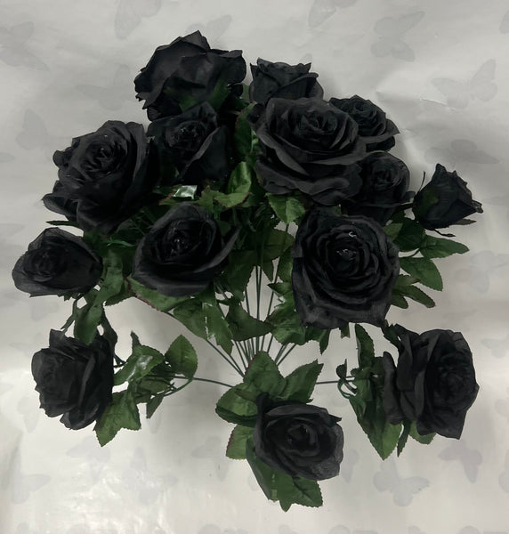 Grandiflora Rose Bush -Black