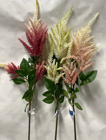 Astilbe Spray