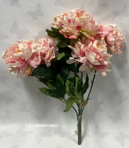 Peony Bush -Soft Pink