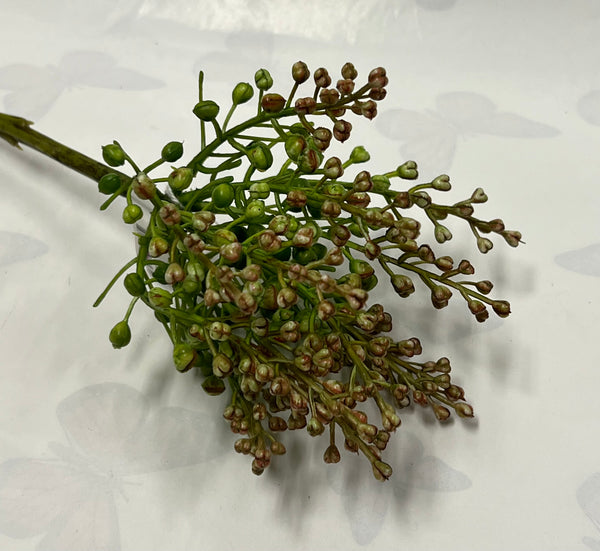 Seed Spray