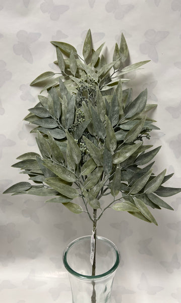 Asian Bayberry Leaf Spray