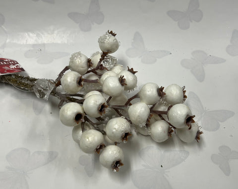 Berry Pick “Outdoor” -White