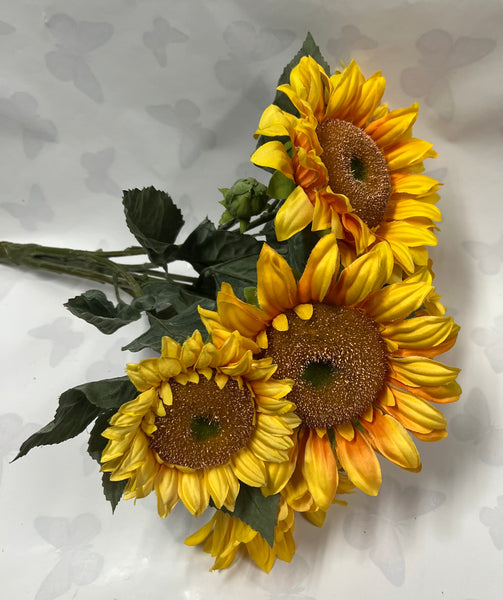 Sunflower Bush -Yellow