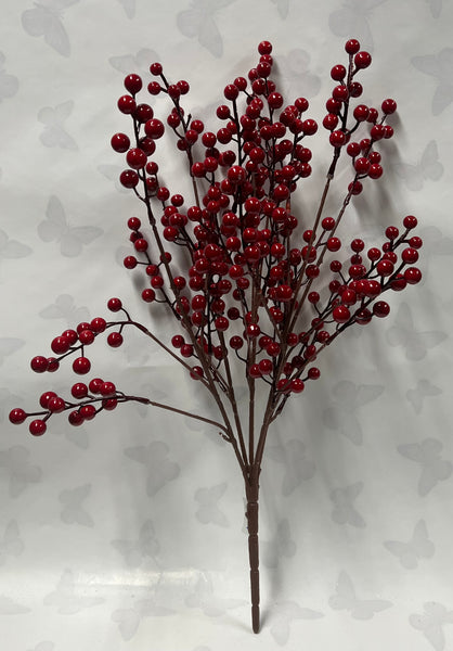 Red Berry Bush