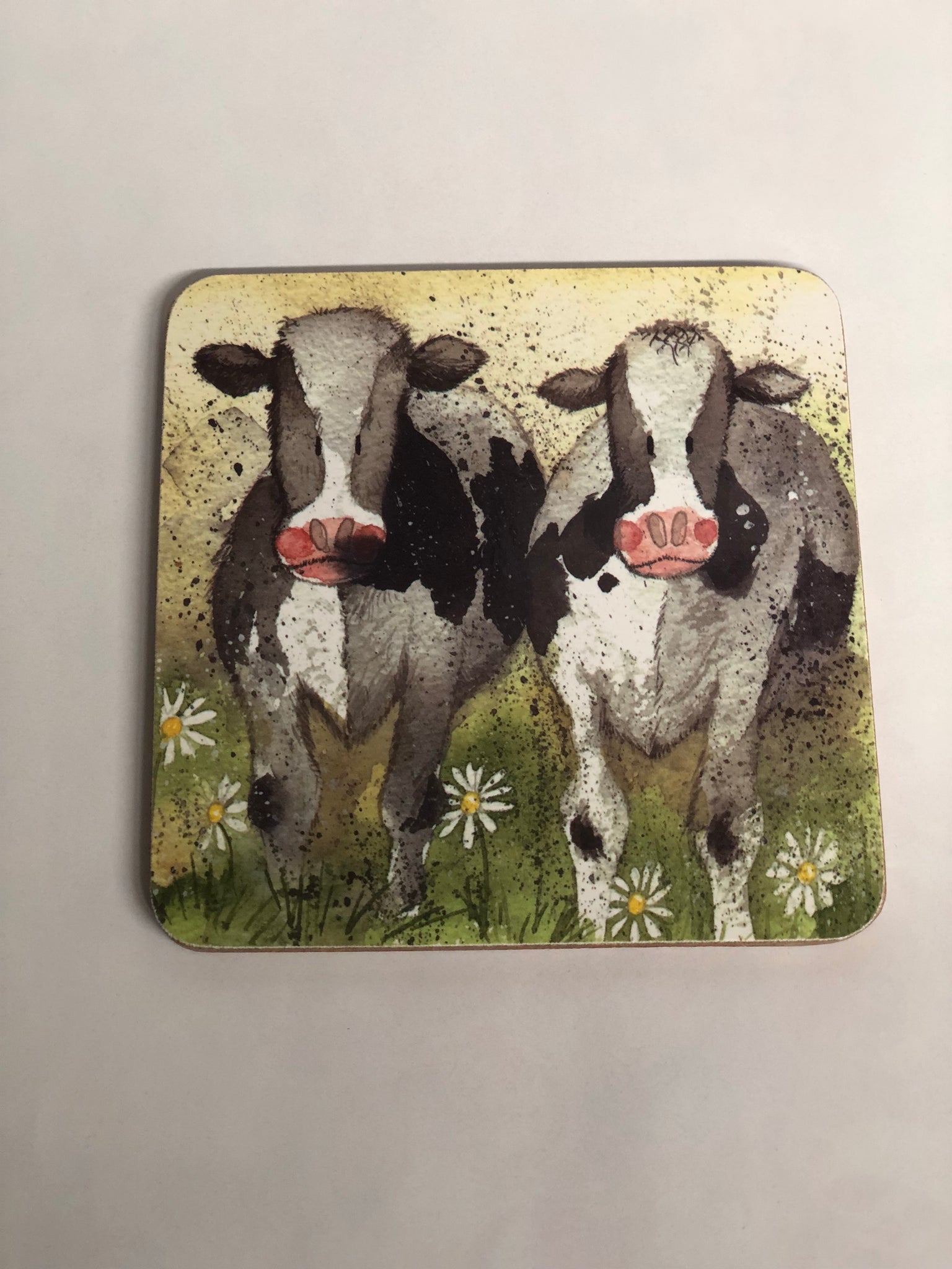 Curious Cows Coaster