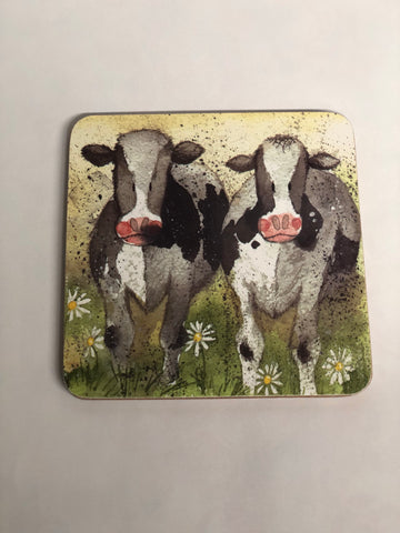 Curious Cows Coaster