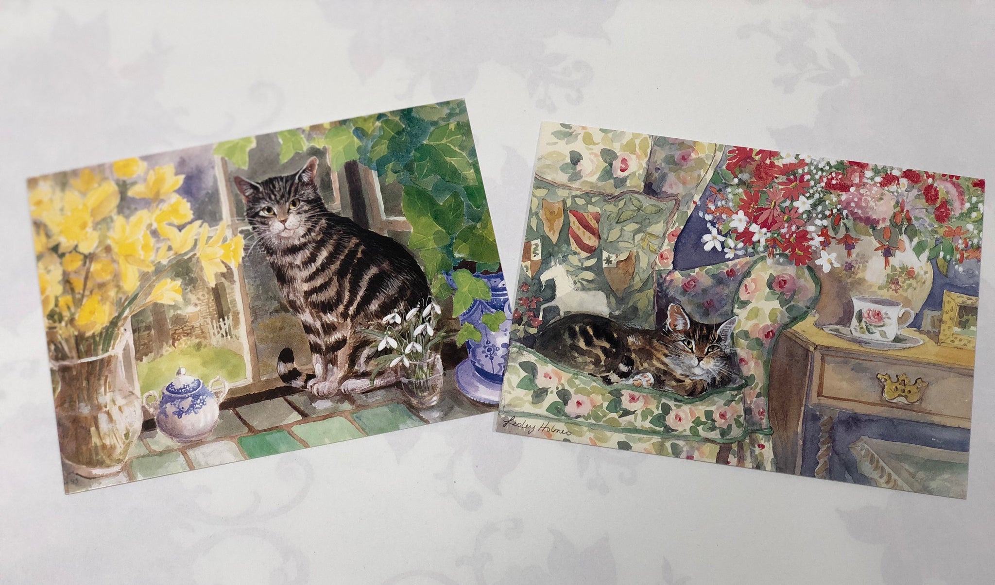 Boxed Note Cards "Cats"