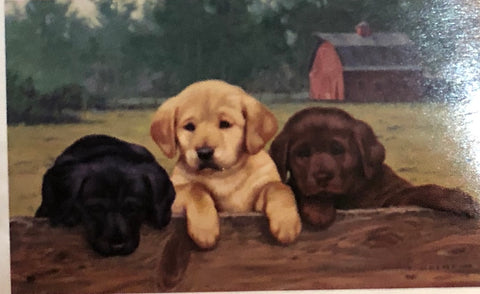 On The Fence Mat -Large