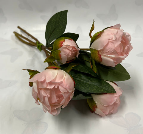 Peony/ Bud Bundle -Soft Pink