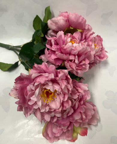 Peony Bush -Dark Pink