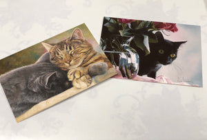 Boxed Note Cards "Cat Nap / Pasha"