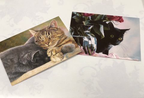 Boxed Note Cards "Cat Nap / Pasha"