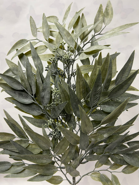 Asian Bayberry Leaf Spray