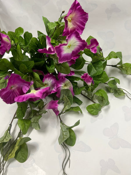 Hanging Petunia Bush -Purple
