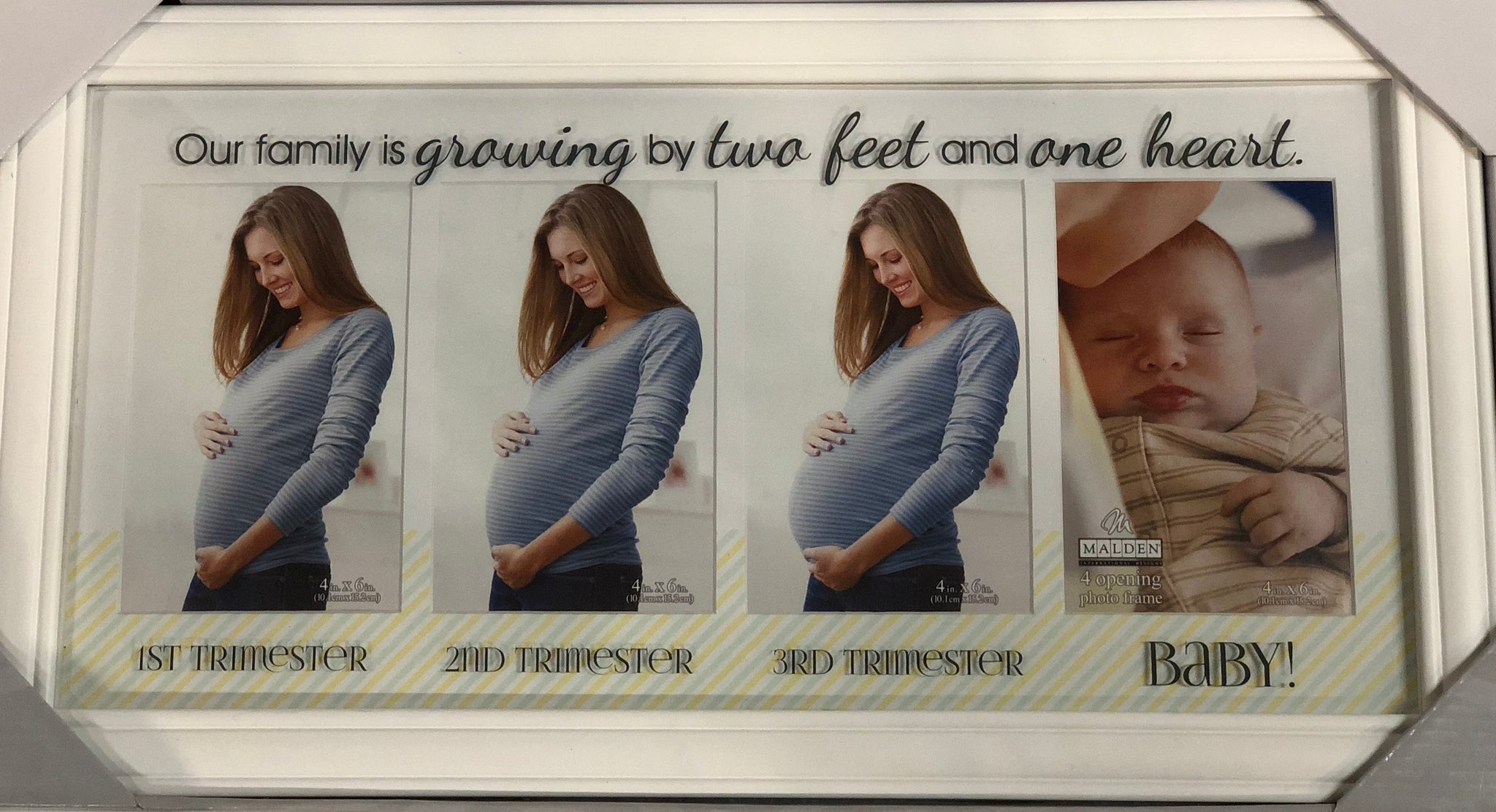 Trimester Picture Frame