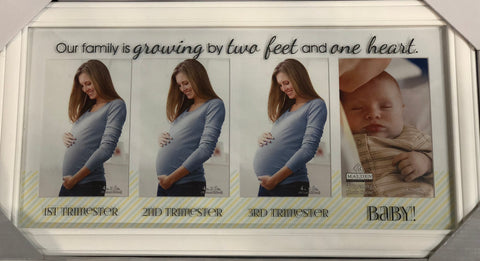 Trimester Picture Frame