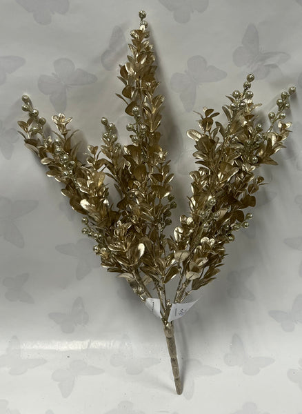Boxwood Berry Bush -Champagne