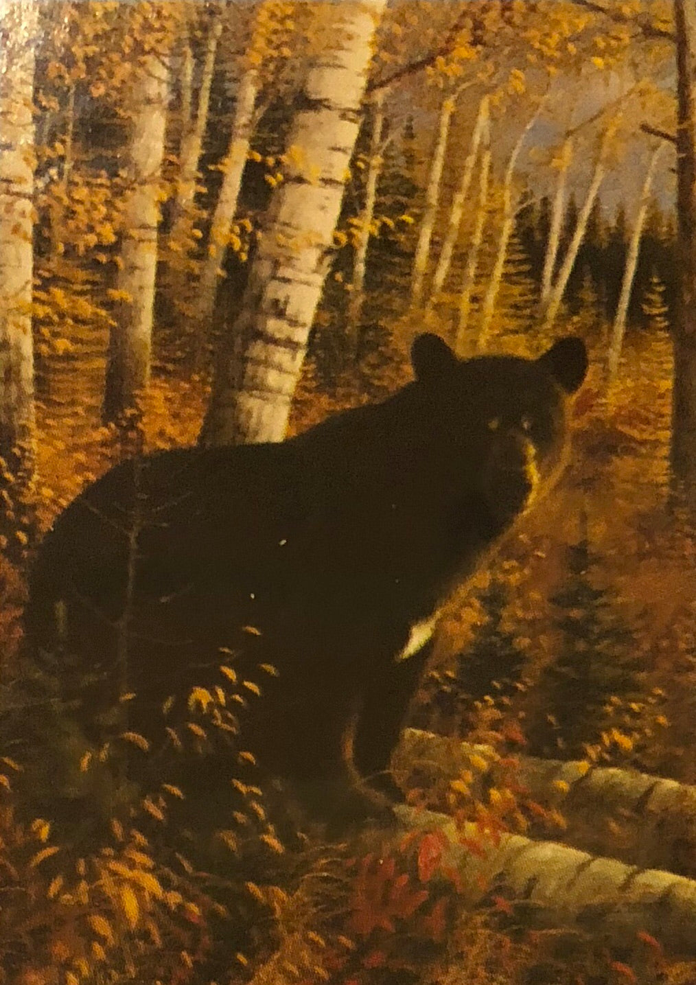 Black Bear -Small Flag