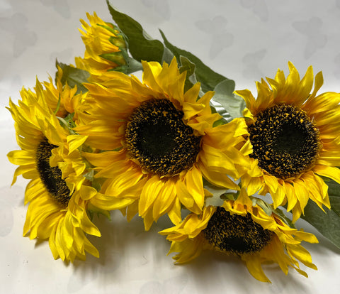 Sunflower Bush -Yellow