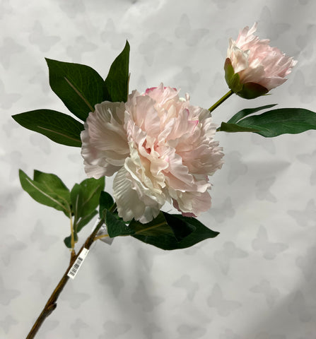 Garden Peony With Bud -Soft Pink
