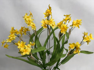 Mini Daffodil Bunch