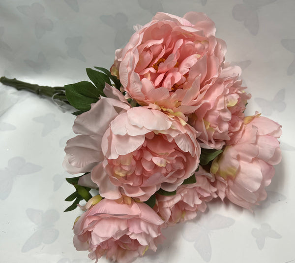 Peony Bush -Light Pink