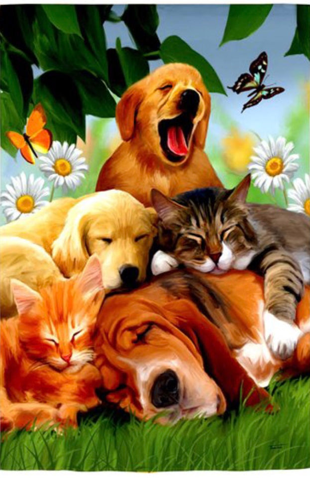 Sleepy Heads -Large Flag