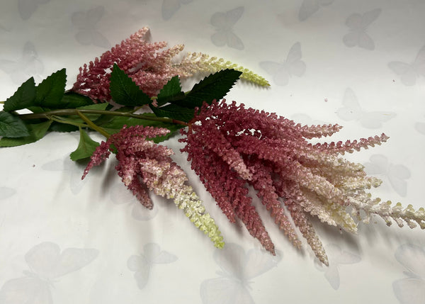 Astilbe Spray