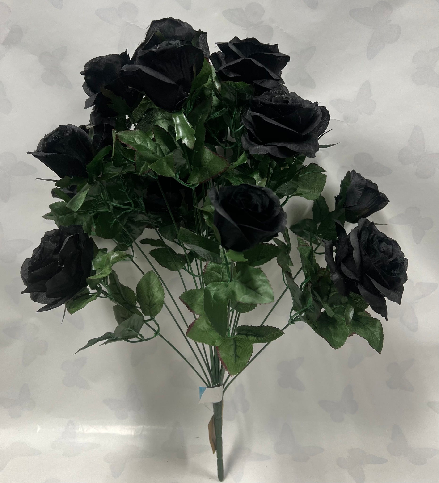 Grandiflora Rose Bush -Black