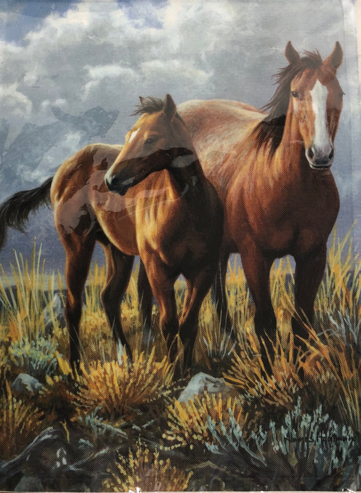 High Plains Horses -Small Flag
