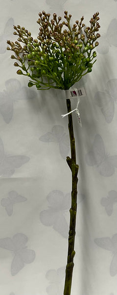 Seed Spray