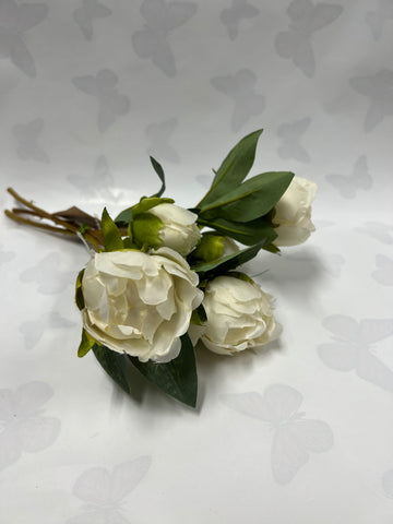 Peony/ Bud Bundle -Cream