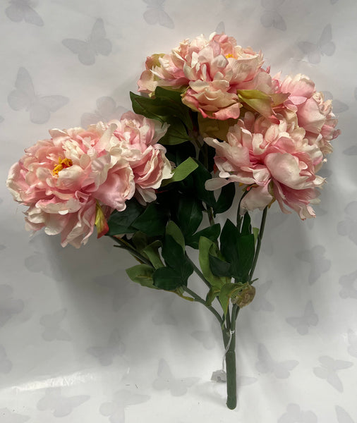 Peony Bush -Soft Pink