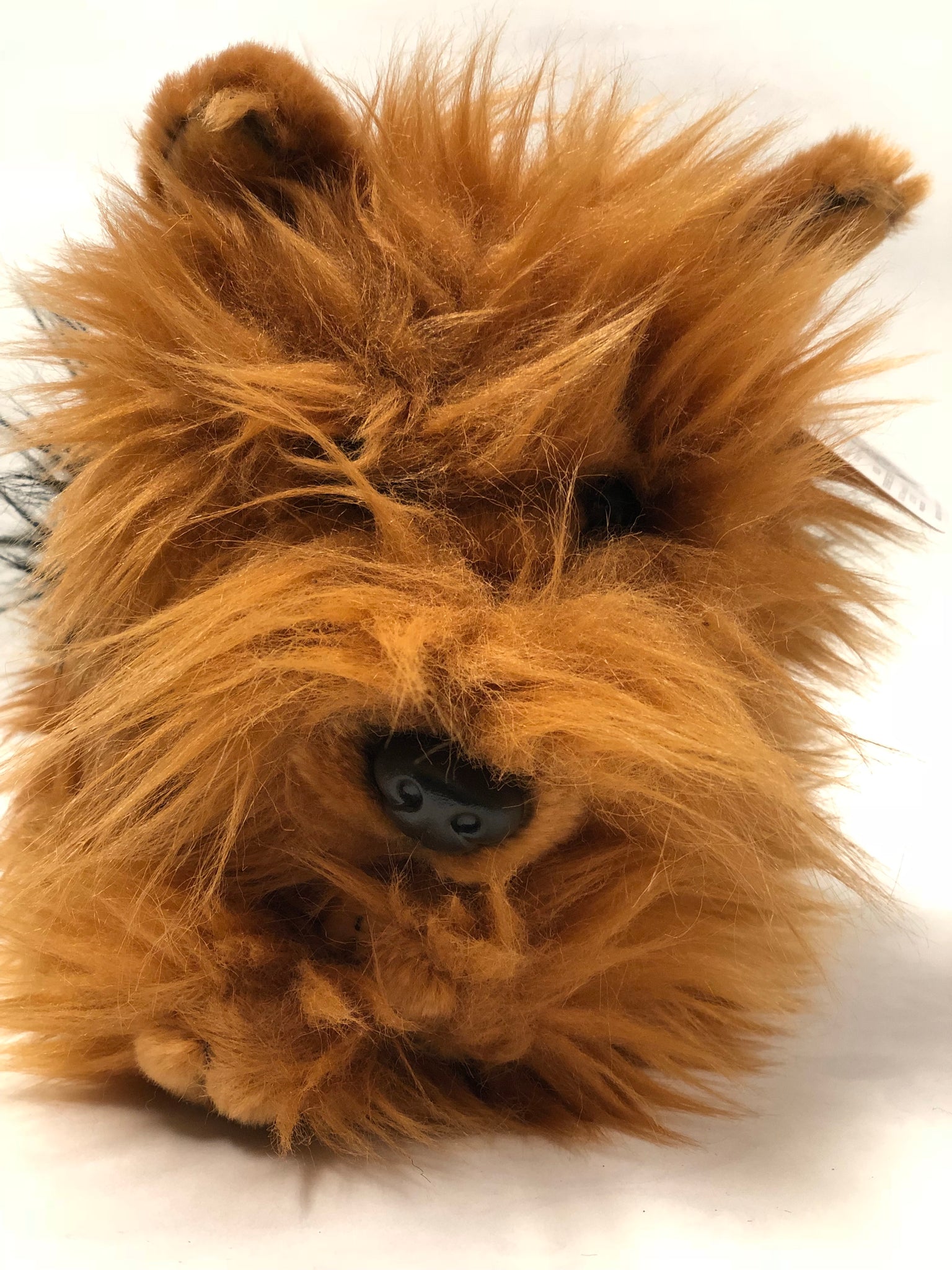 Plush Dog -Yorkshire Terrier