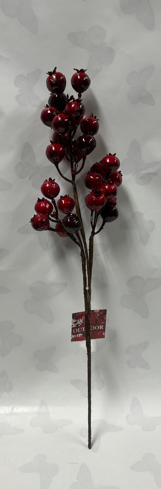 Red “Outdoor” Berry Spray