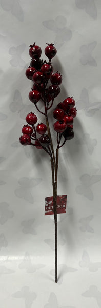 Red “Outdoor” Berry Spray