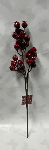 Red “Outdoor” Berry Spray