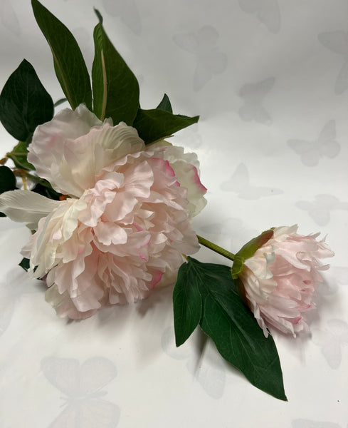 Garden Peony With Bud -Soft Pink