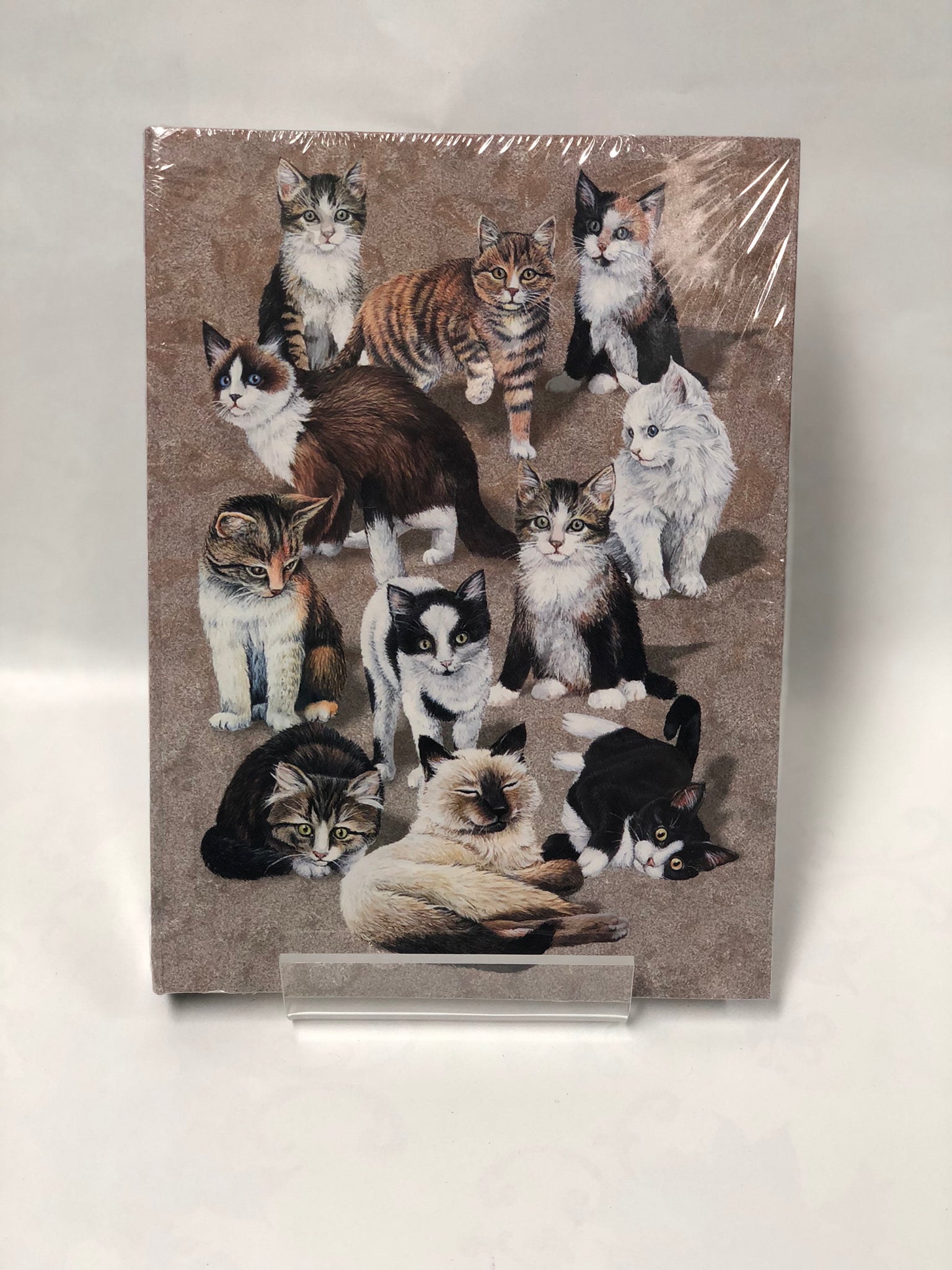Hardcover Journal -City Kitty
