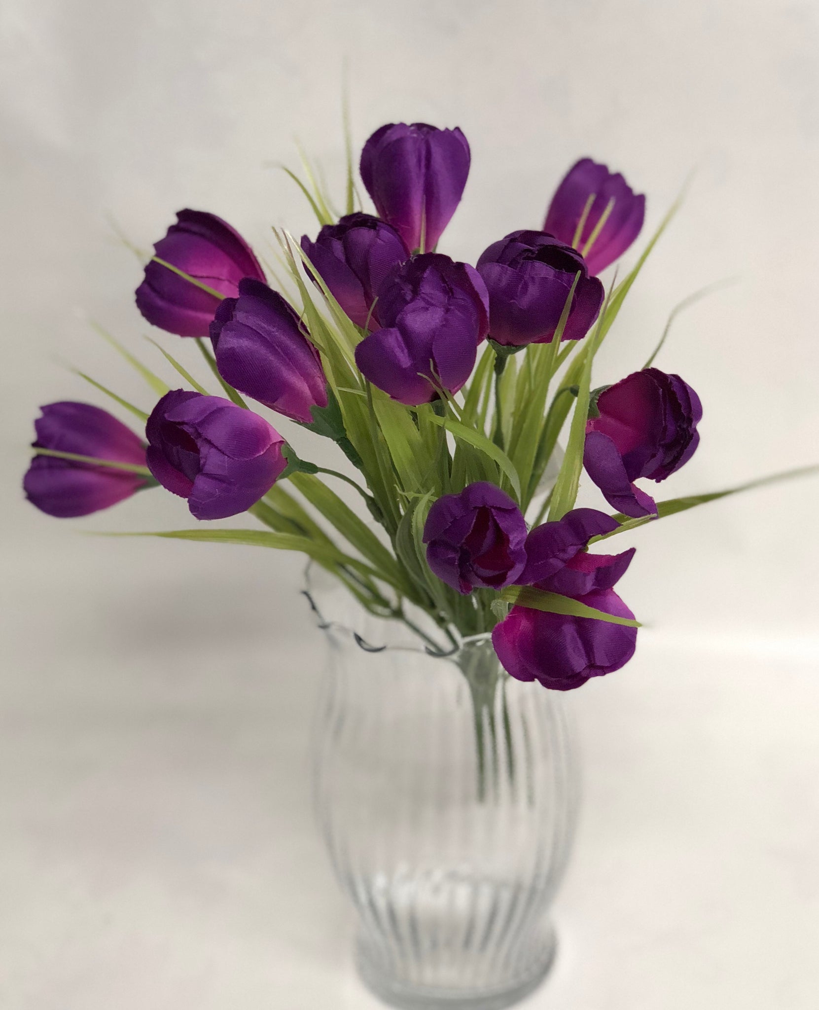 Dark Purple Crocus Bunch