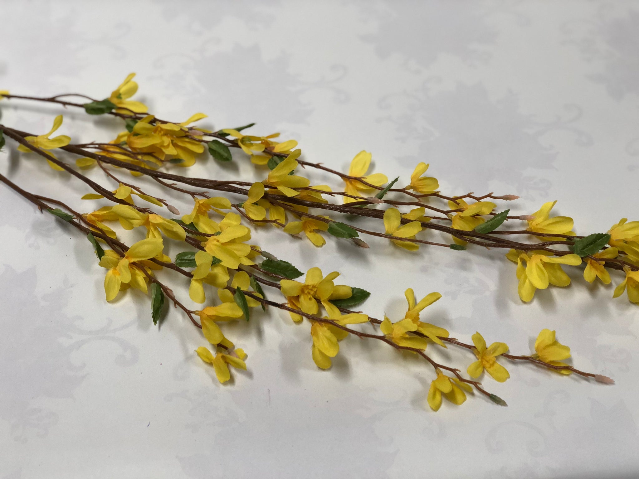 Forsythia Spray