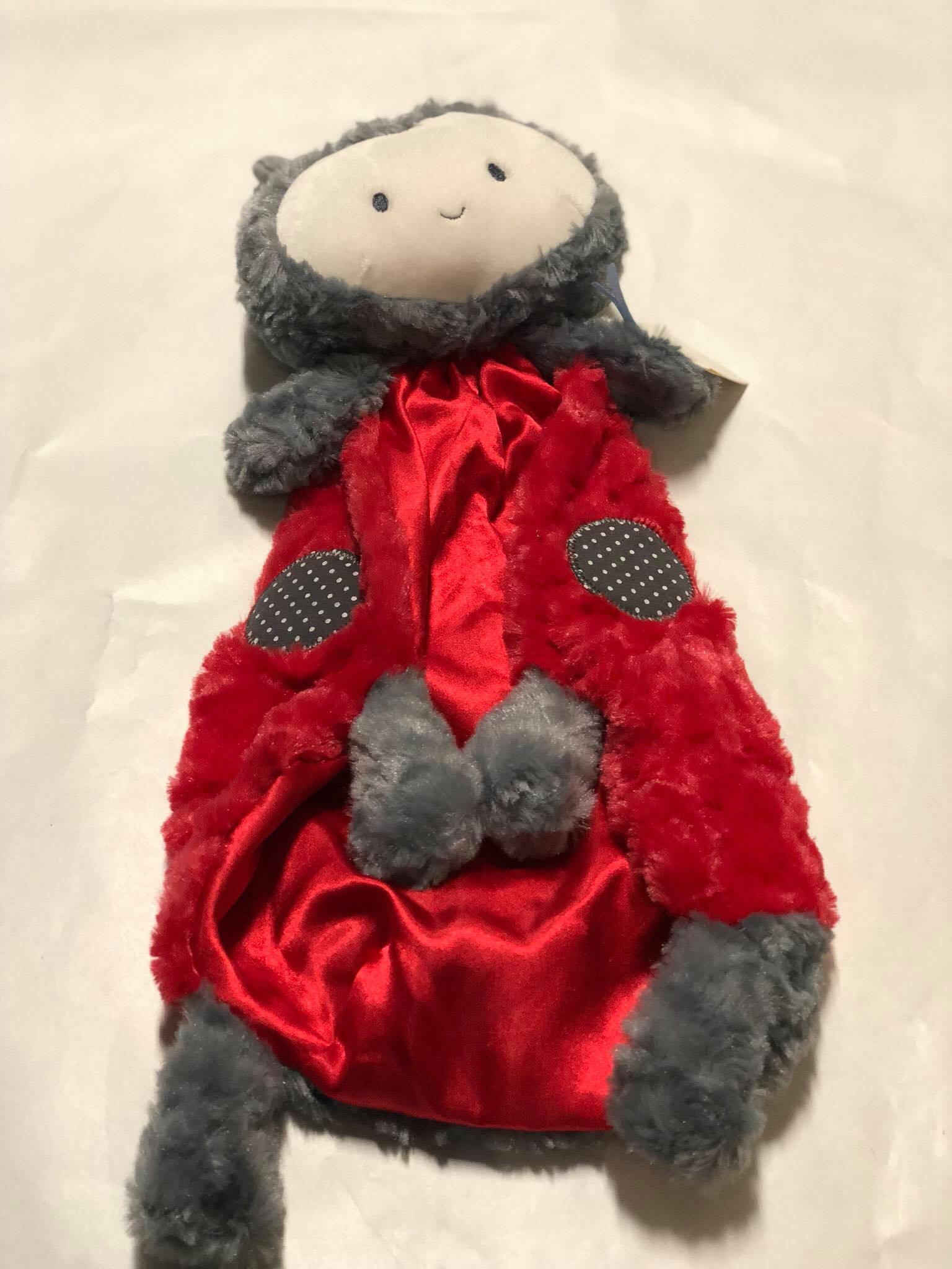 Lady Bug Huggy Blanket